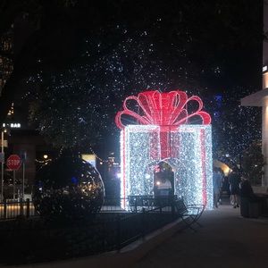 Meet your Posher, Sunny